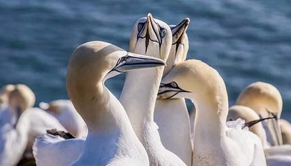 游客称在辽宁兴城城隍庙拍照被阻止，文旅局回应