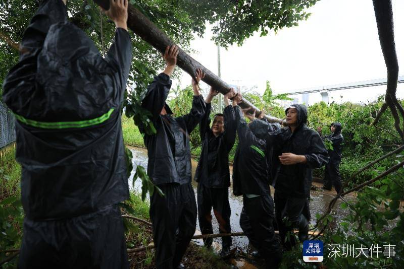 从“山竹”开始,深圳这家企业每遇台风都组织员工排险清障