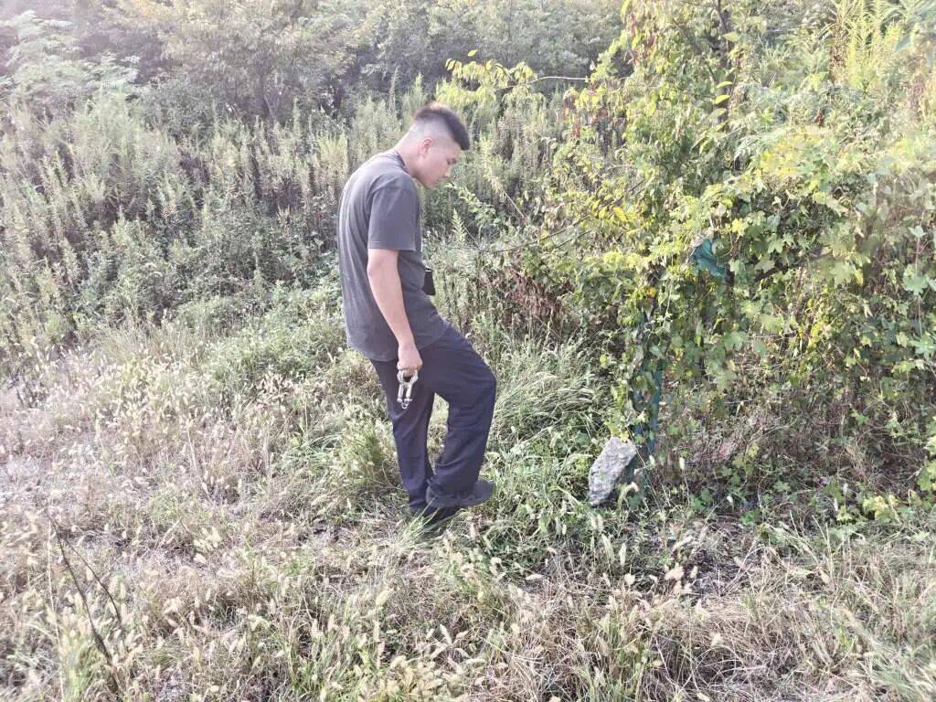 浙江一姑娘以奶茶为记号，竟然在草丛里藏了11万现金！